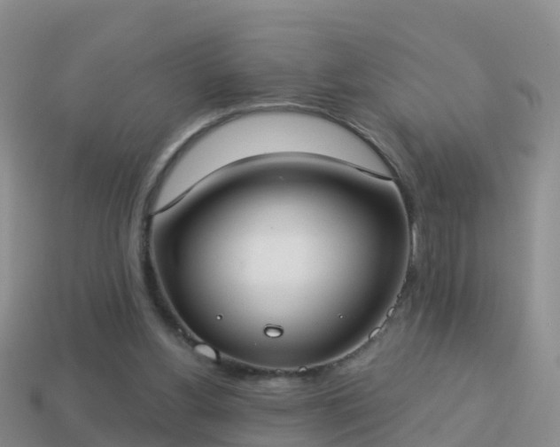 X0000114020156200910091421