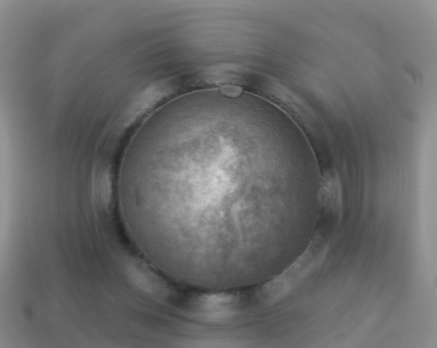 X0000114020158200910091421