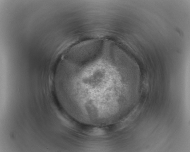 X0000114020166200910091421