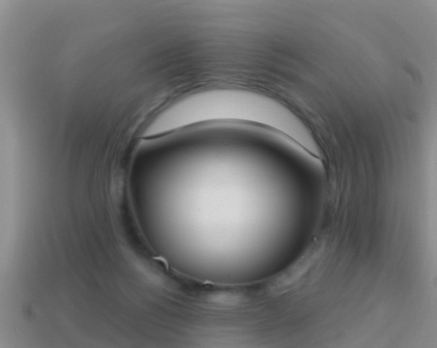 X0000114020168200910091421