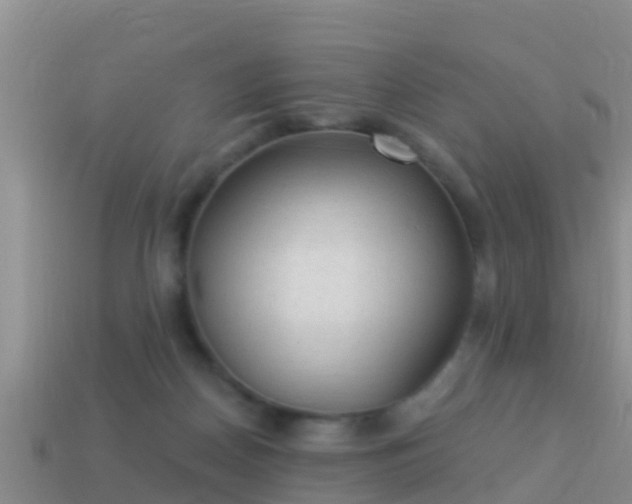 X0000114020170200910091421