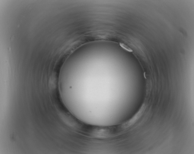 X0000114020174200910091421