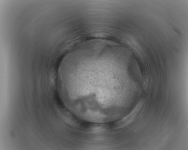 X0000114020175200910091421