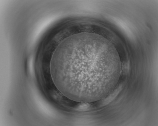 X0000114020189200910091421