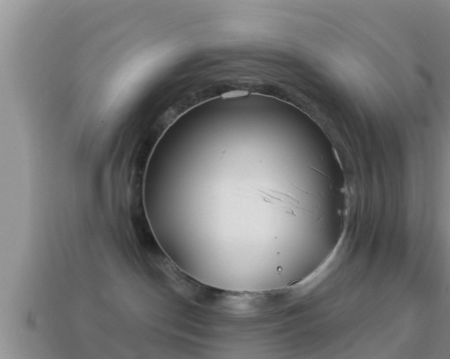 X0000114020190200910091421