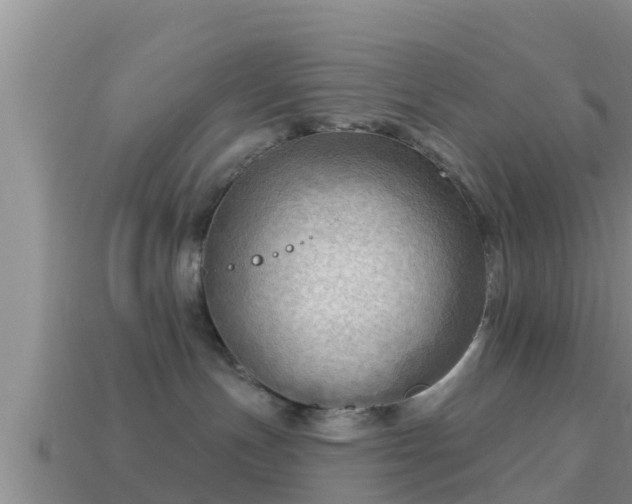 X0000114020191200910091421