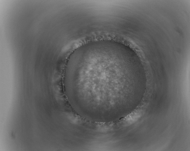 X0000114020192200910091421