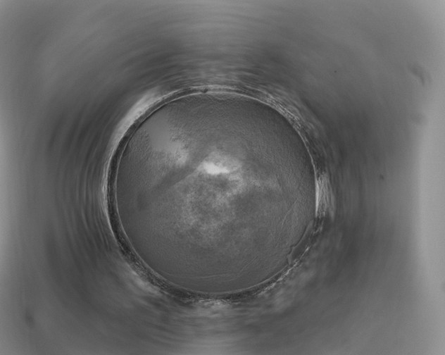 X0000114020195200910091421