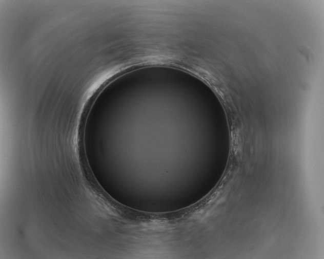 X0000114020196200910091421