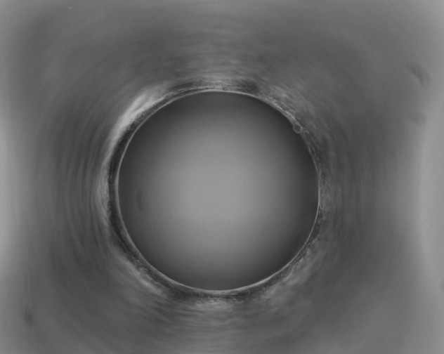 X0000114020198200910091421