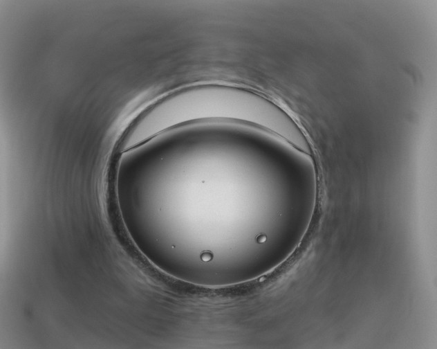 X0000114020199200910091421