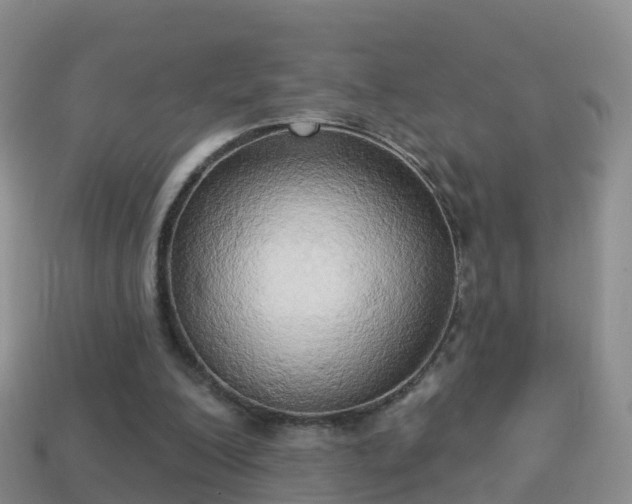 X0000114020200200910091421