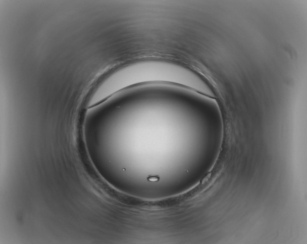 X0000114020203200910091421