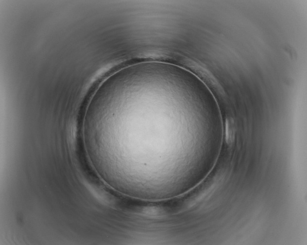 X0000114020204200910091421