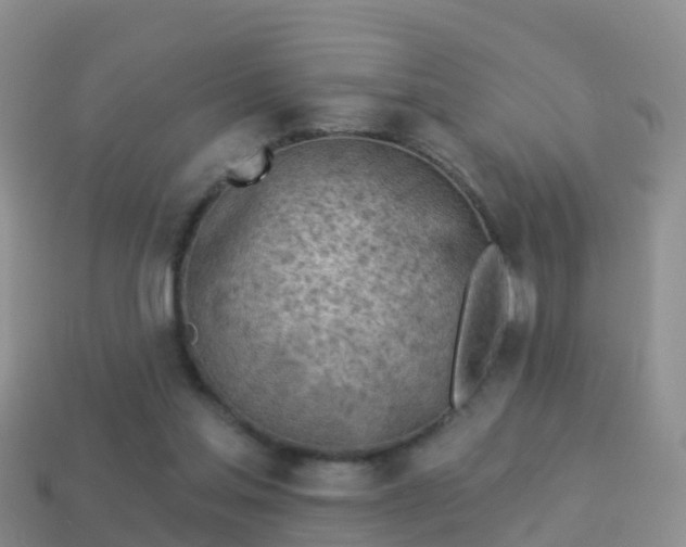 X0000114020205200910091421