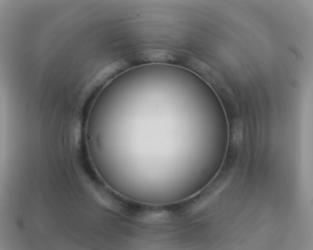 X0000114020206200910091421