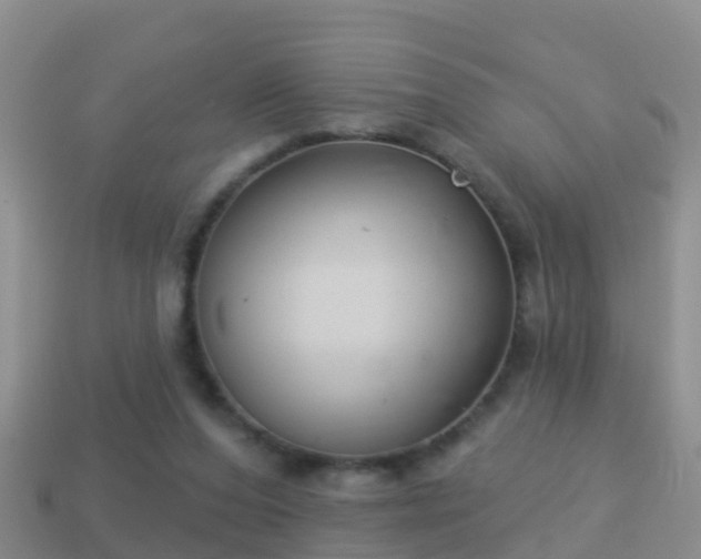 X0000114020208200910091421