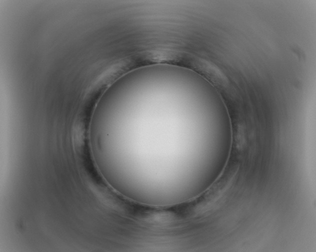 X0000114020210200910091420