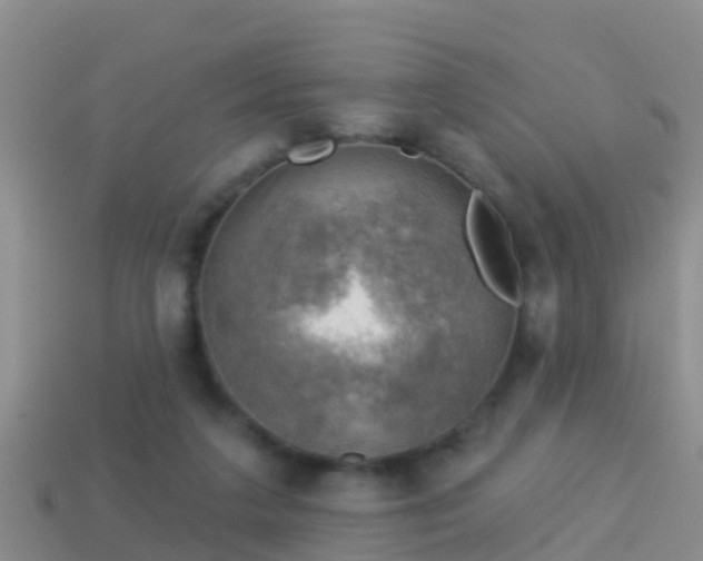 X0000114020211200910091420