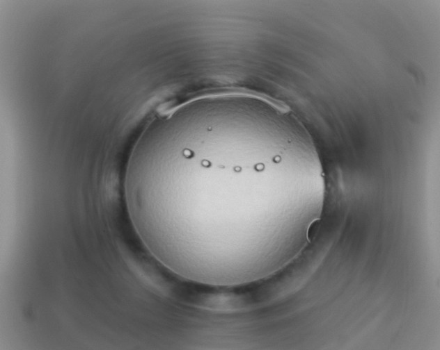 X0000114020212200910091420