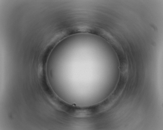 X0000114020213200910091420