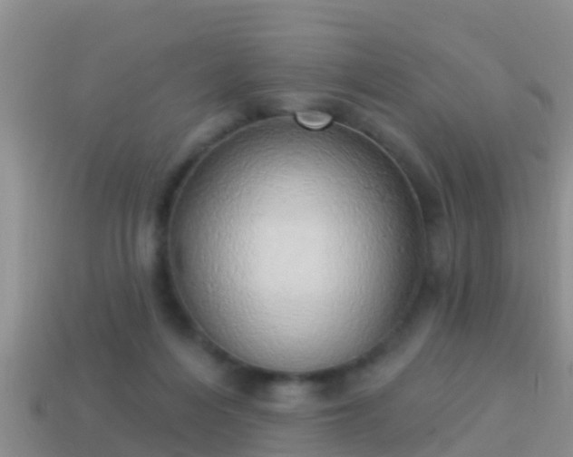 X0000114020216200910091420