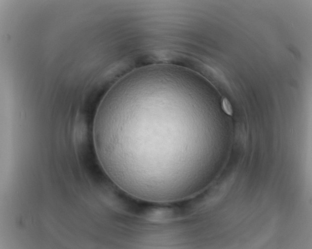 X0000114020220200910091420