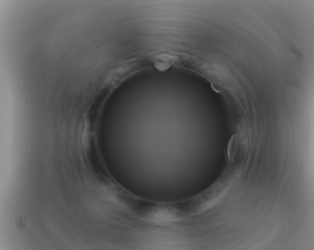 X0000114020223200910091420