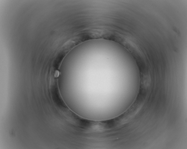 X0000114020226200910091420