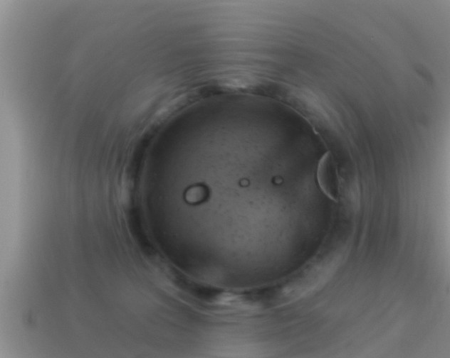 X0000114020227200910091420