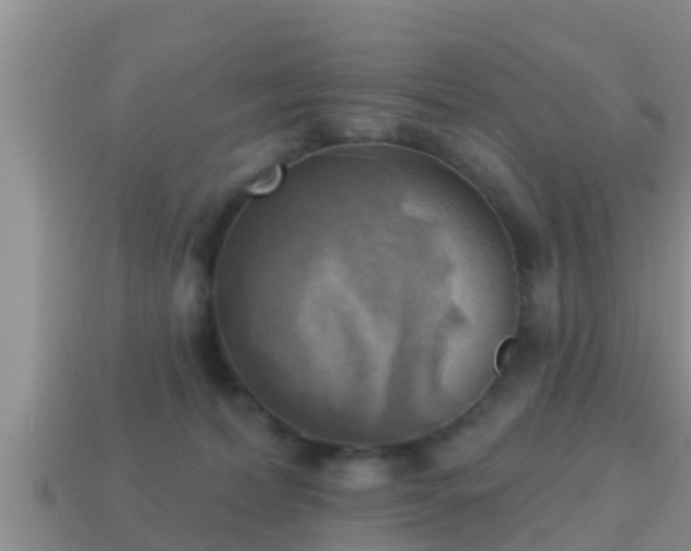 X0000114020228200910091420