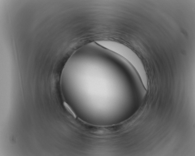 X0000114020229200910091420