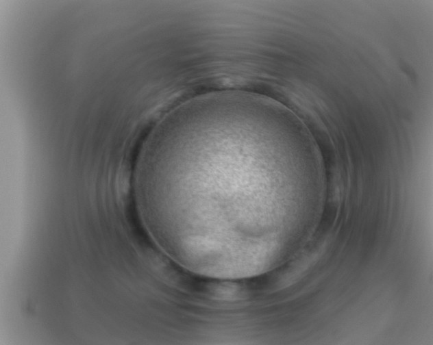 X0000114020230200910091420