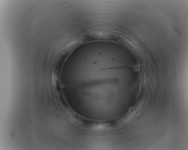 X0000114020235200910091420