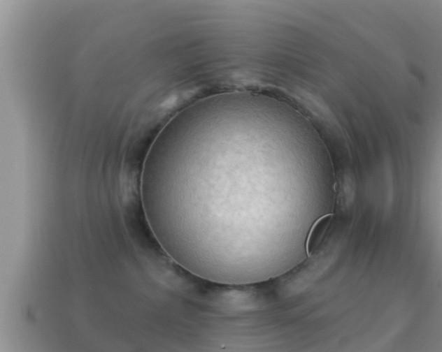 X0000114020236200910091420