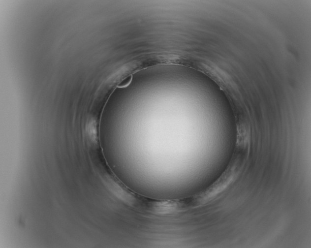 X0000114020238200910091420