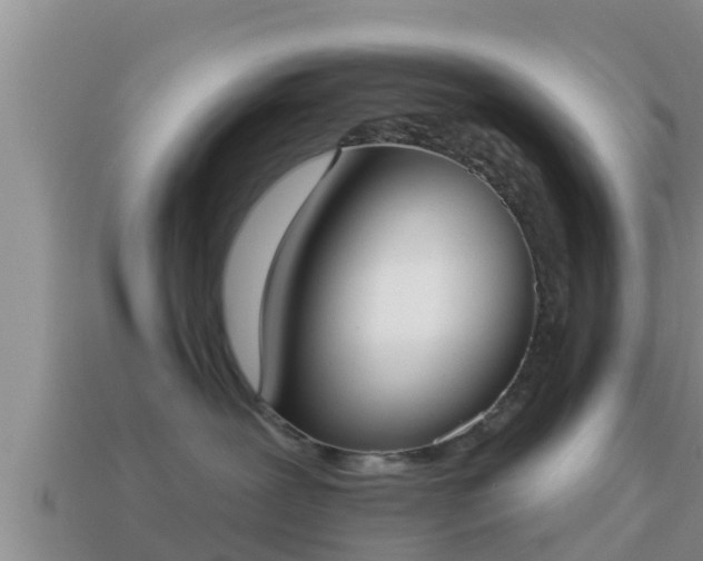 X0000114020239200910091420