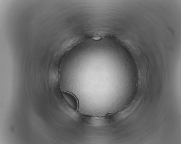 X0000114020240200910091420