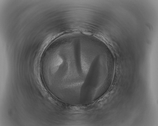 X0000114020241200910091419