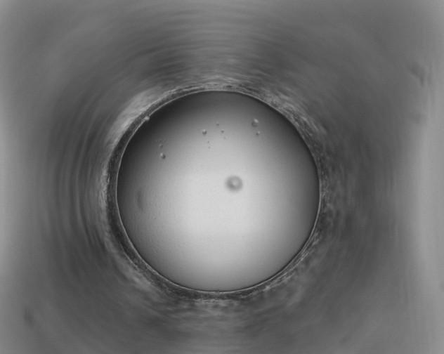 X0000114020242200910091420