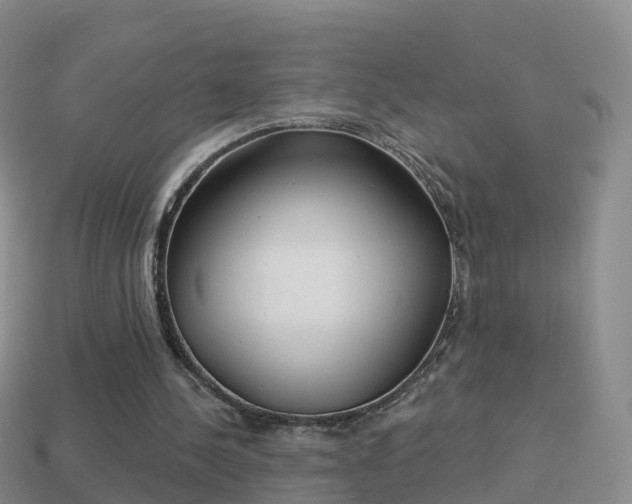 X0000114020244200910091420