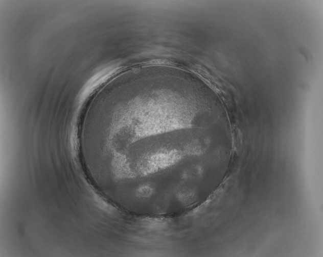 X0000114020245200910091420