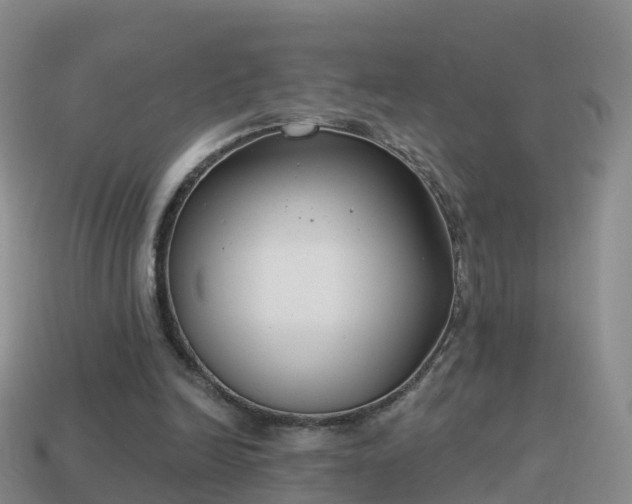 X0000114020246200910091420