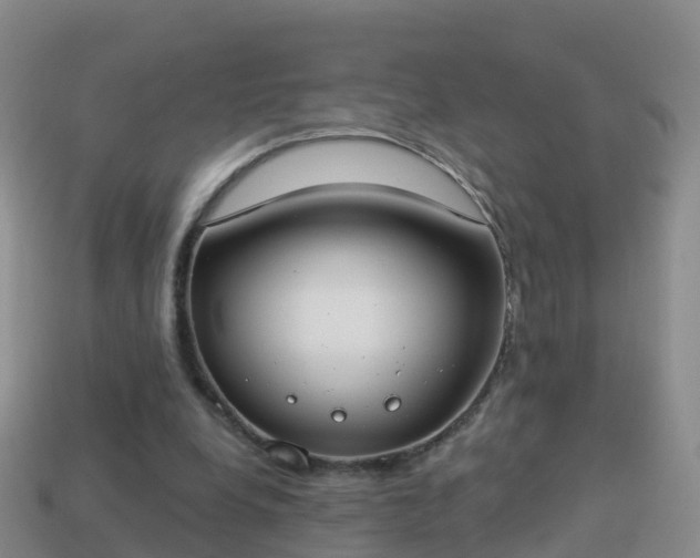 X0000114020248200910091420