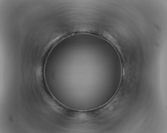 X0000114020249200910091420