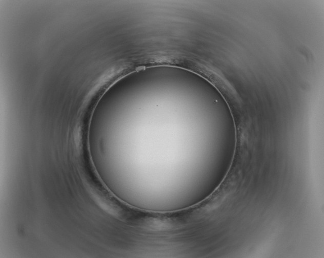 X0000114020250200910091420