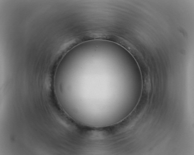 X0000114020255200910091420