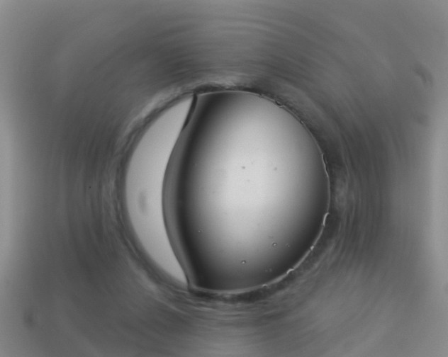 X0000114020256200910091420