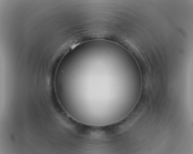 X0000114020258200910091420