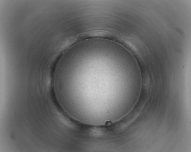 X0000114020261200910091420